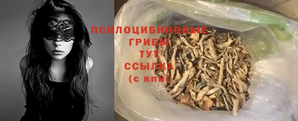гидра Армянск